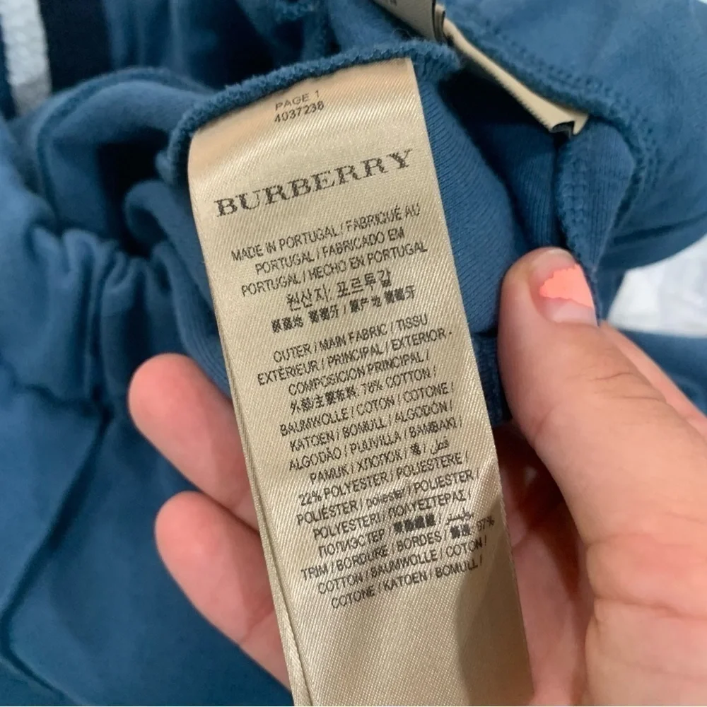 Burberry Joggers Nickston Side Stripe Track Pants in Blue